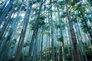 奈良県にて芸術祭「MIND TRAIL　奥大和 心のなかの美術館」が10月より開催