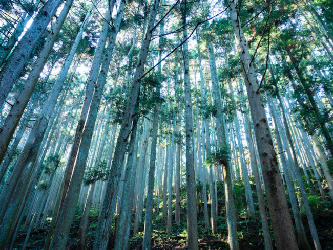 奈良県にて芸術祭「MIND TRAIL　奥大和 心のなかの美術館」が10月より開催