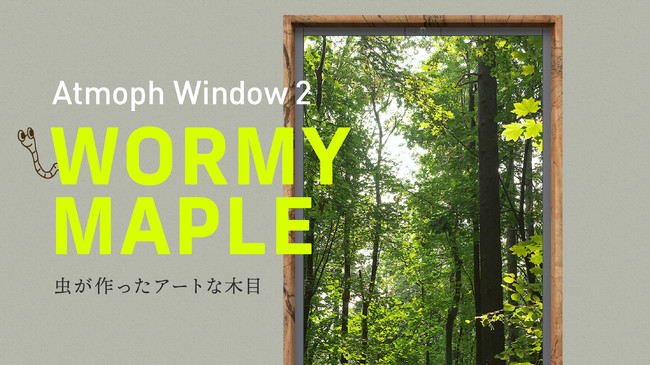 スマート窓Atmoph Window 2に、カリモク家具とコラボで虫食い木材をアップサイクルした「ワーミーメープル」モデルが登場！